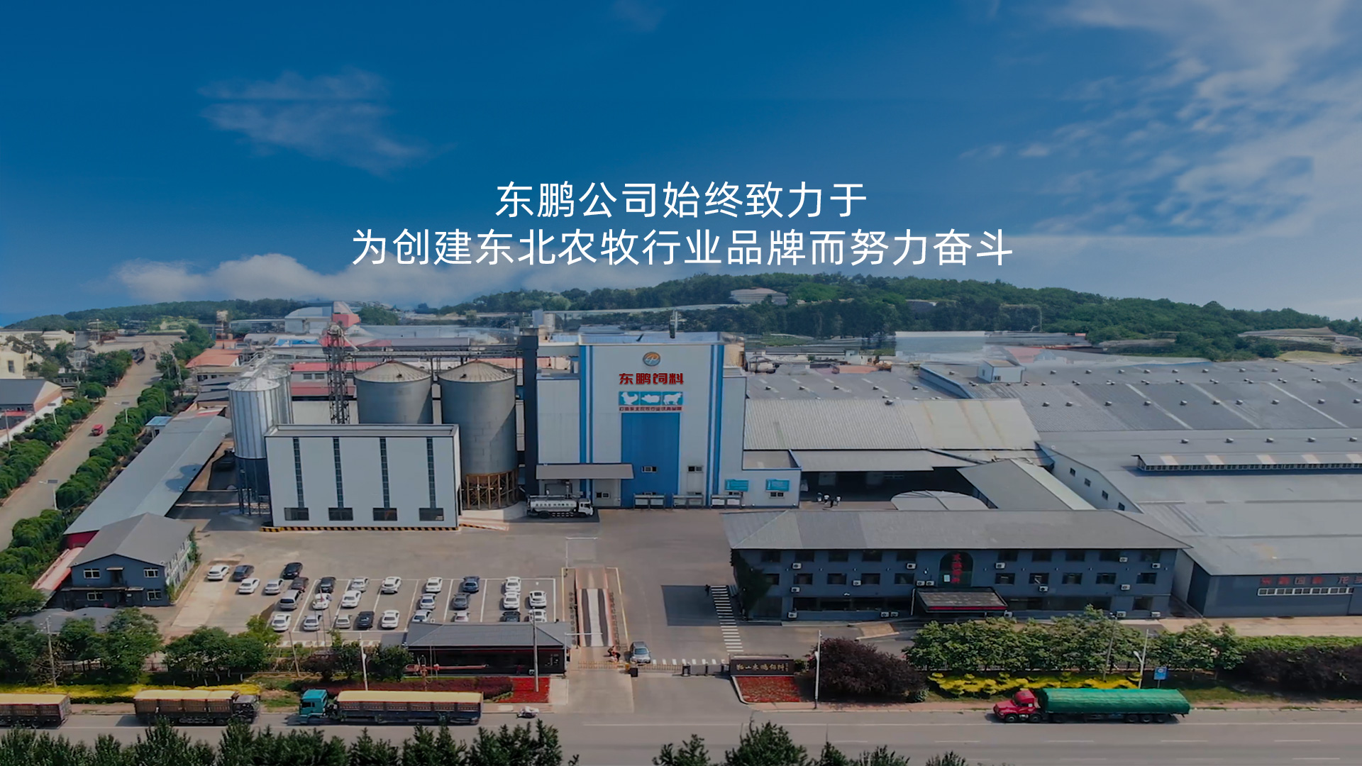 阜新饲料